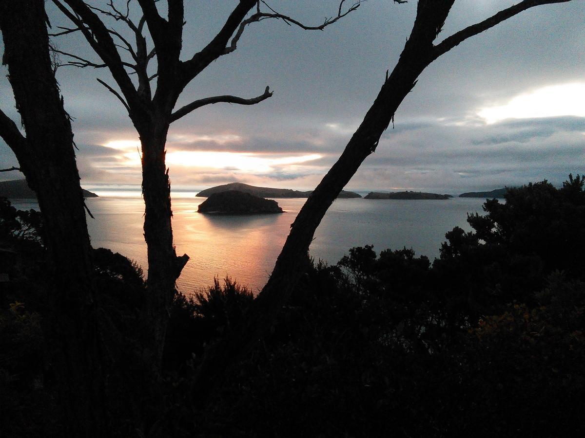 Island View Experience Βίλα Coromandel Εξωτερικό φωτογραφία